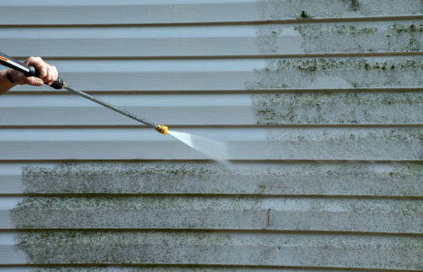 Best Roof Pressure Washing  in Nd Point, WI
